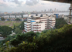 Business Image