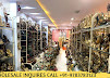 Business Image